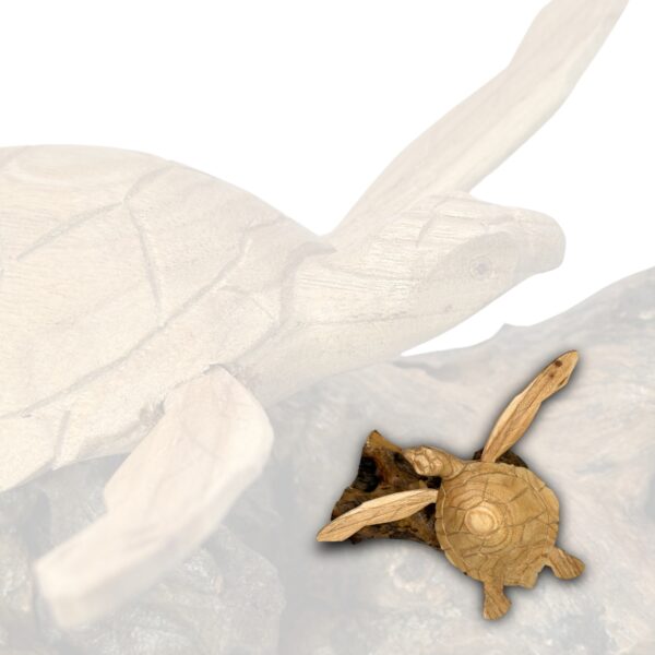 schildpad-op-moerashout